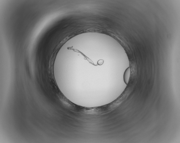 X0000112940430200908241010