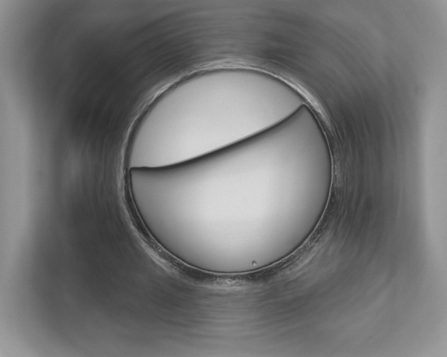 X0000112940437200908241010