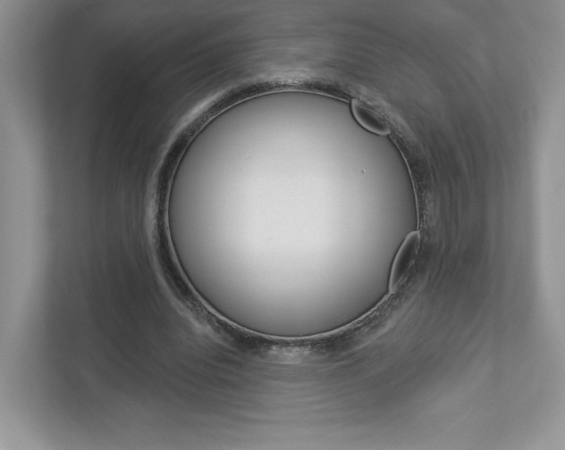 X0000112940440200908241010