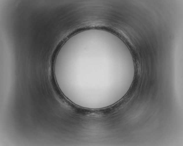 X0000112940447200908241010