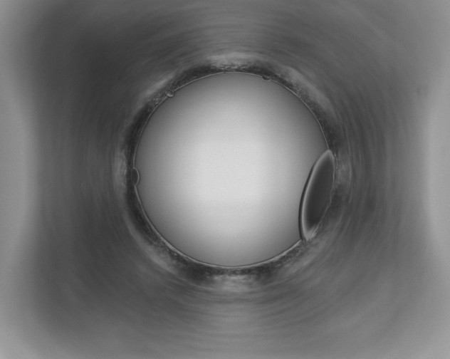 X0000112940448200908241010