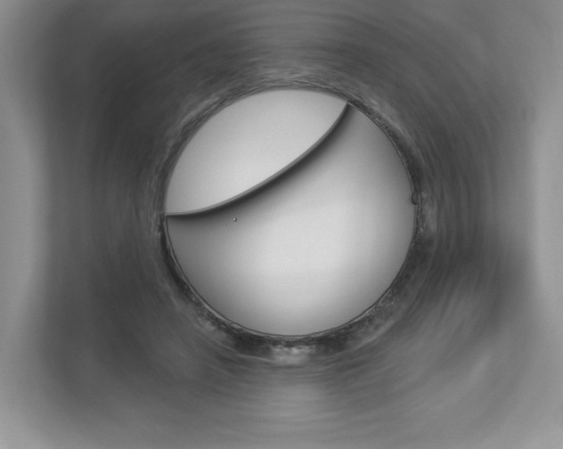 X0000112940450200908241010