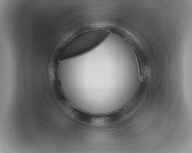 X0000112940452200908241010