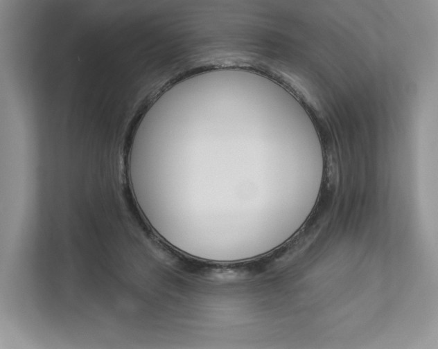 X0000112940453200908241010