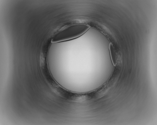 X0000112940456200908241010