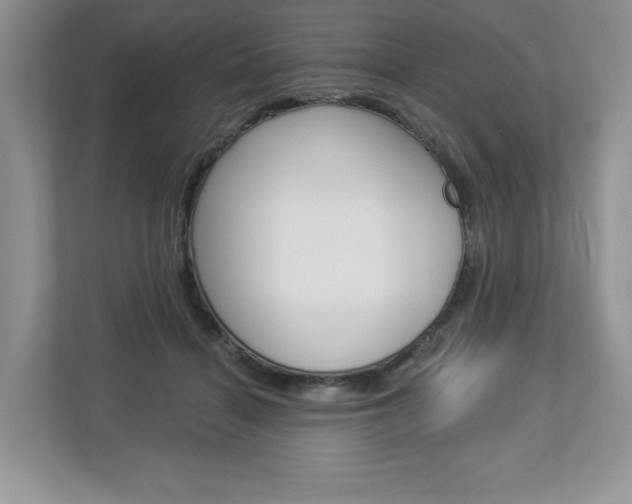 X0000112940460200908241010