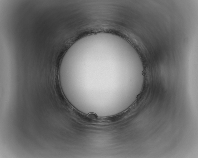 X0000112940463200908241010