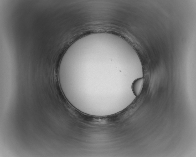 X0000112940469200908241010