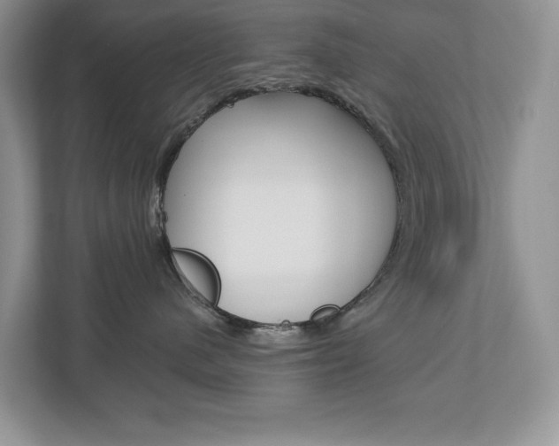 X0000112940480200908241010