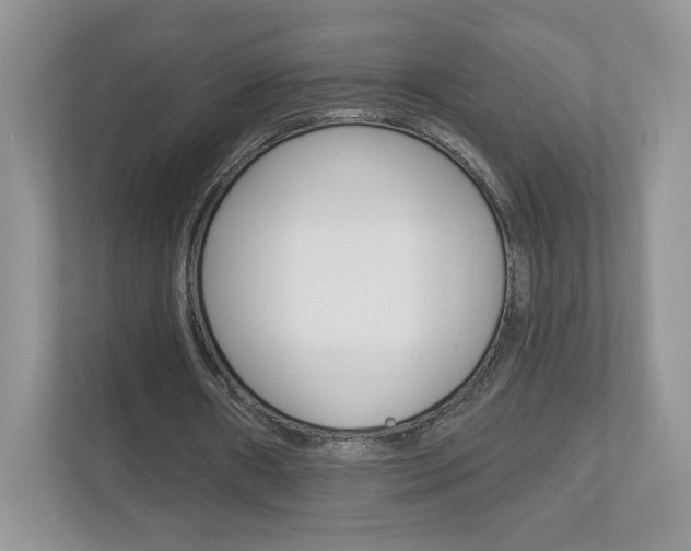X0000112940482200908241010