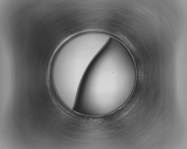 X0000112940484200908241010