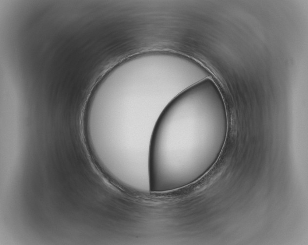 X0000112940485200908241010
