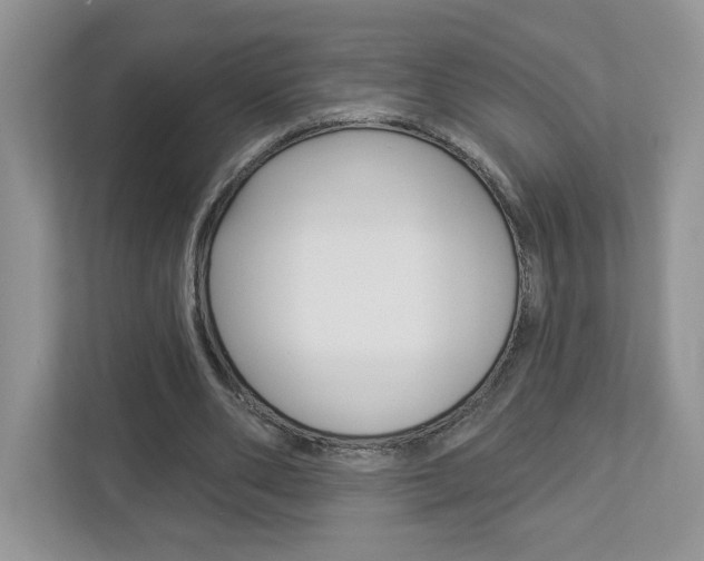 X0000112940486200908241010