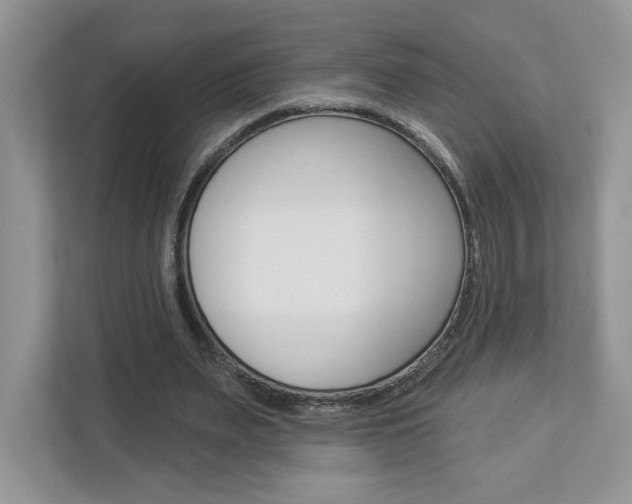 X0000112940487200908241010