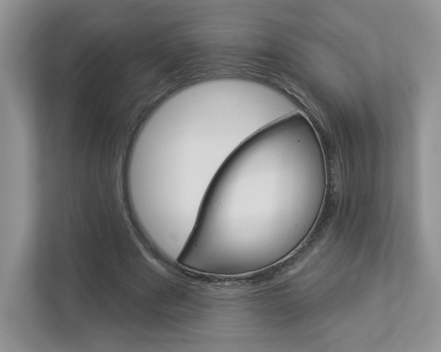 X0000112940489200908241010