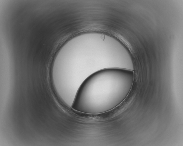 X0000112940493200908241010