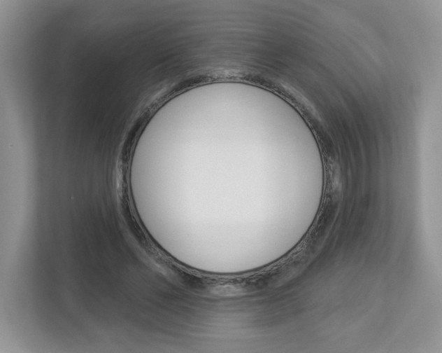 X0000112940494200908241010