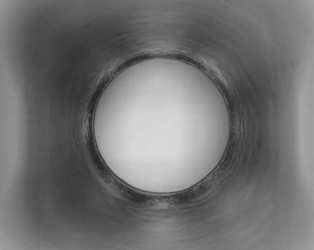X0000112940495200908241010