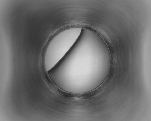 X0000112940496200908241010