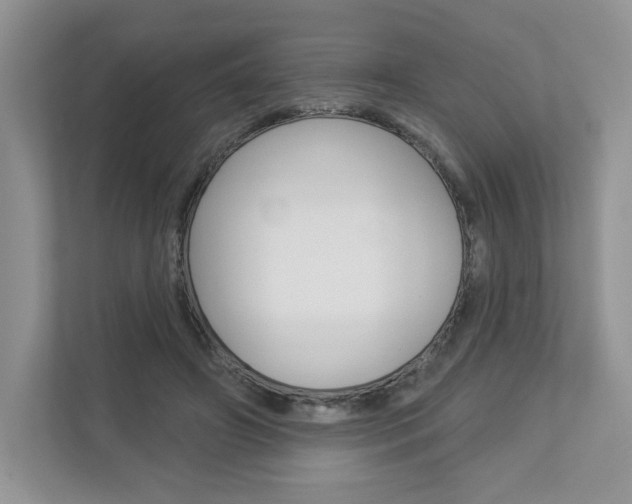 X0000112940498200908241010