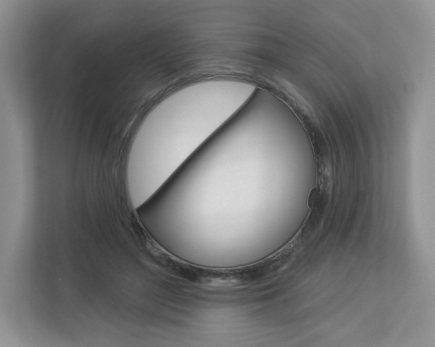 X0000112940500200908241010