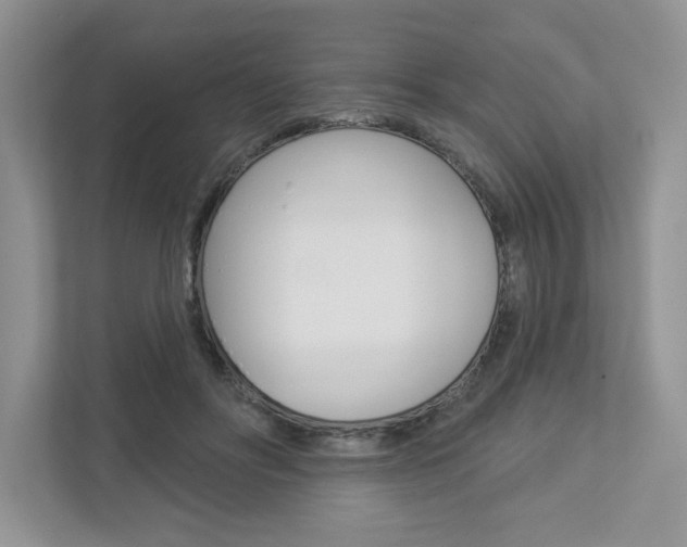 X0000112940502200908241009