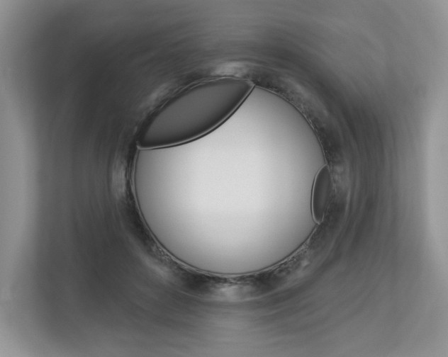 X0000112940504200908241009
