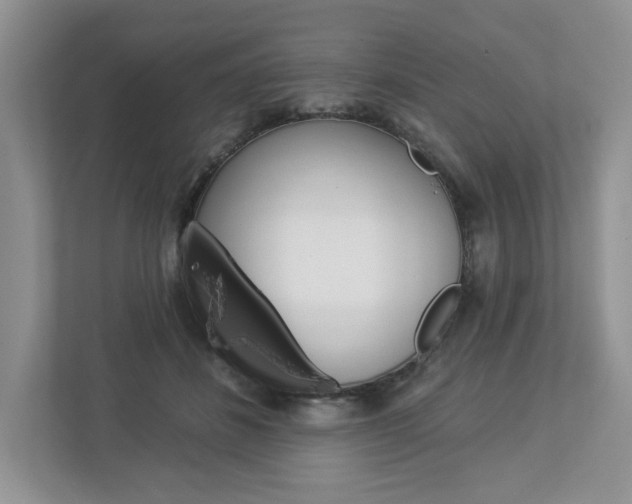X0000112940508200908241009