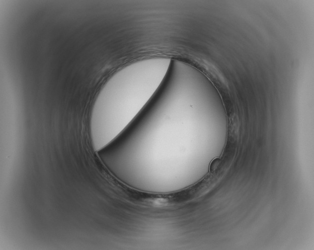 X0000112940509200908241009