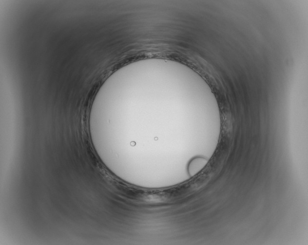 X0000112940510200908241009