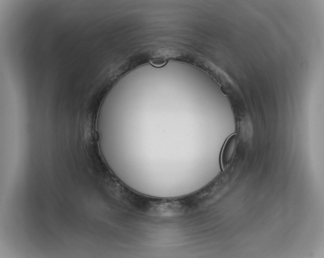 X0000112940517200908241009