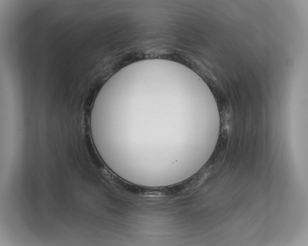 X0000112940519200908241009