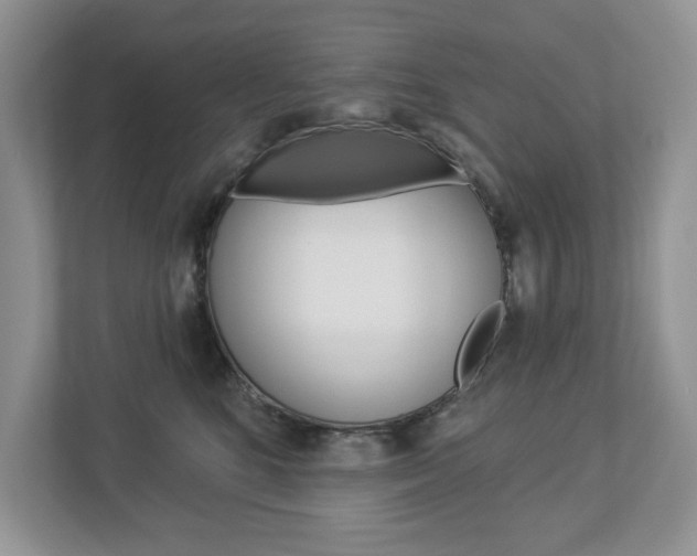 X0000112940520200908241009