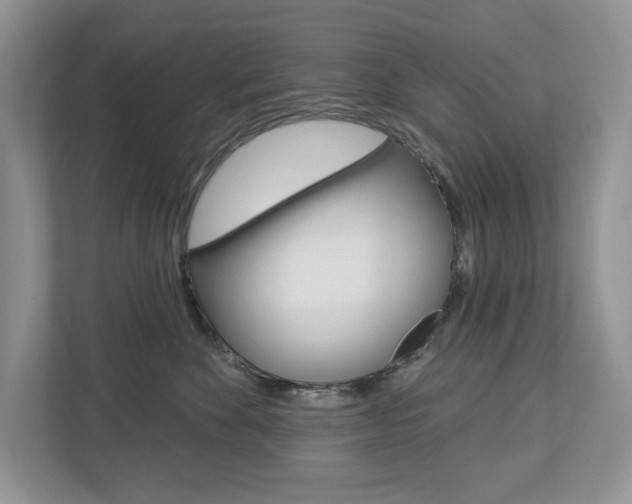 X0000112940524200908241009