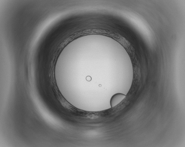 X0000112940526200908241009