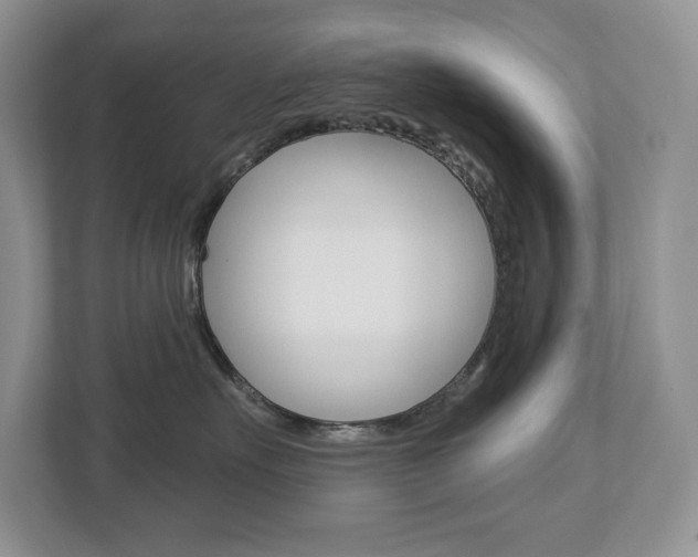 X0000112940527200908241009