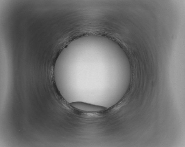 X0000112940528200908241009