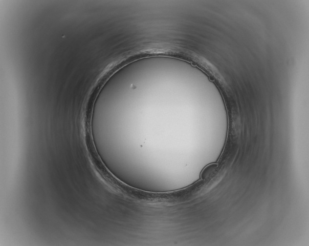 X0000112940530200908241009