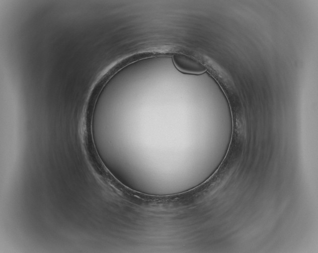 X0000112940532200908241009