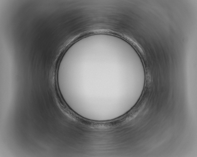 X0000112940533200908241009