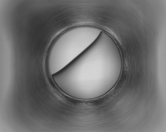 X0000112940535200908241009