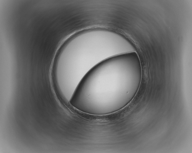 X0000112940536200908241009
