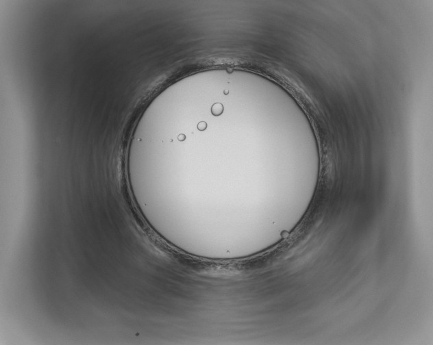 X0000112940537200908241009