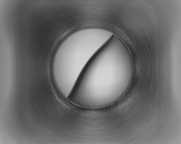 X0000112940538200908241009