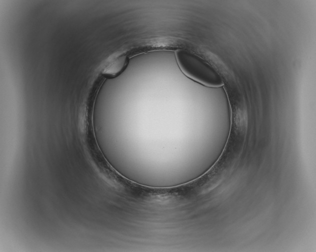 X0000112940540200908241009