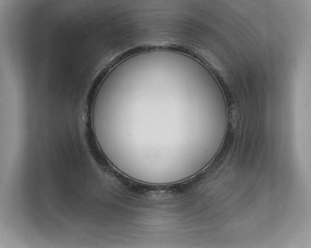 X0000112940544200908241009