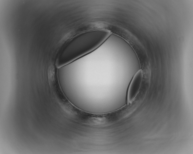 X0000112940552200908241009