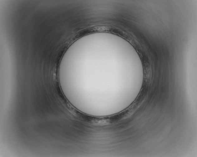 X0000112940553200908241009