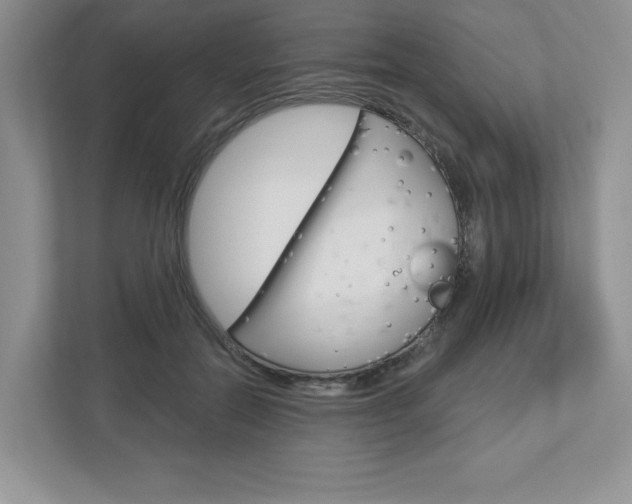 X0000112940554200908241009