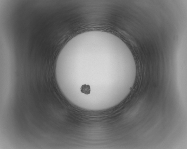 X0000112940560200908241009